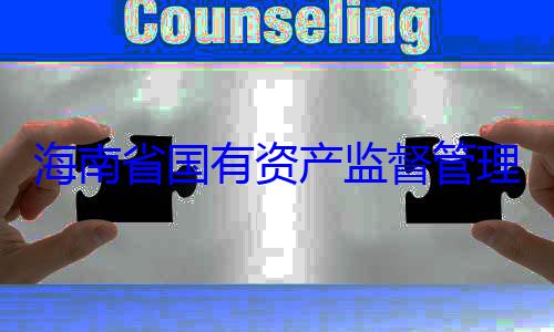 理委员会党资产监督管委副书记王查调查有福接受审海南省国有